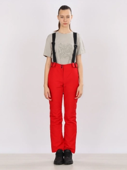 High Experience / Брюки горнолыжные  / сноубордические