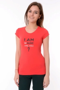 Little Secret / Футболка