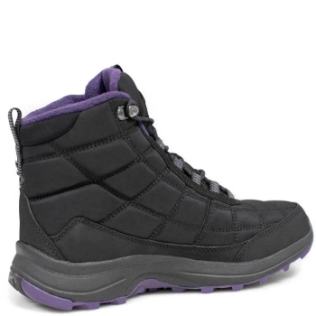 Editex / Ботинки Land Force