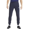 Puma / Брюки спортивные teamGOAL 23 Casuals Pants