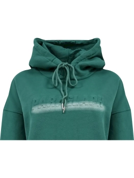 Айли / Толстовка \ Худи утепленное