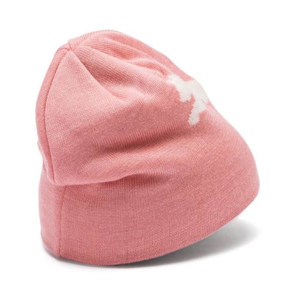 Puma / Шапка ESS Logo Beanie 022330_10