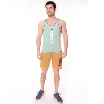 Chic and Charisma / Шорты