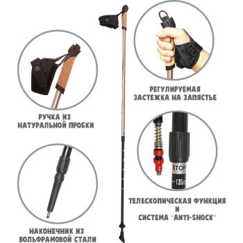 RGX / Палки для скандинавской ходьбы, двухсекционные. RGX / Палки для скандинавской ходьбы, двухсекционные.