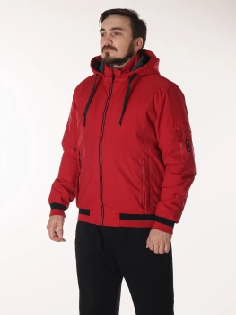 Куртка демисезонная (03pugtjcrv20250808-2.jpg)