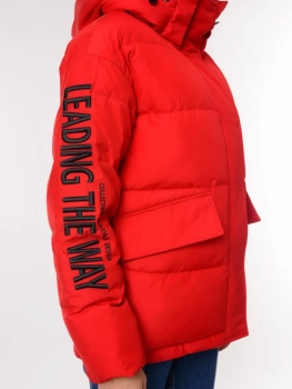 Chic and Charisma / Куртка Chic and Charisma / Куртка