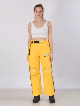 Free Cover / Брюки горнолыжные  / сноубордические