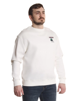 Свитшот повседневный хлопок (032041821264snyhdyde1745099937-30.jpg)