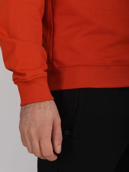 SAZ / Свитшот из хлопка SAZ / Свитшот из хлопка