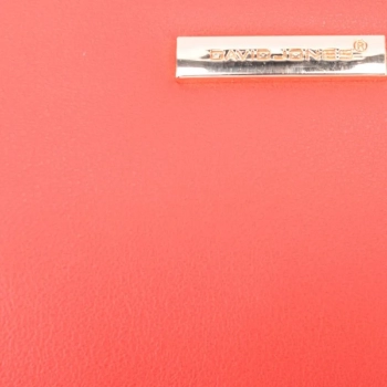 David Jones / Клатч