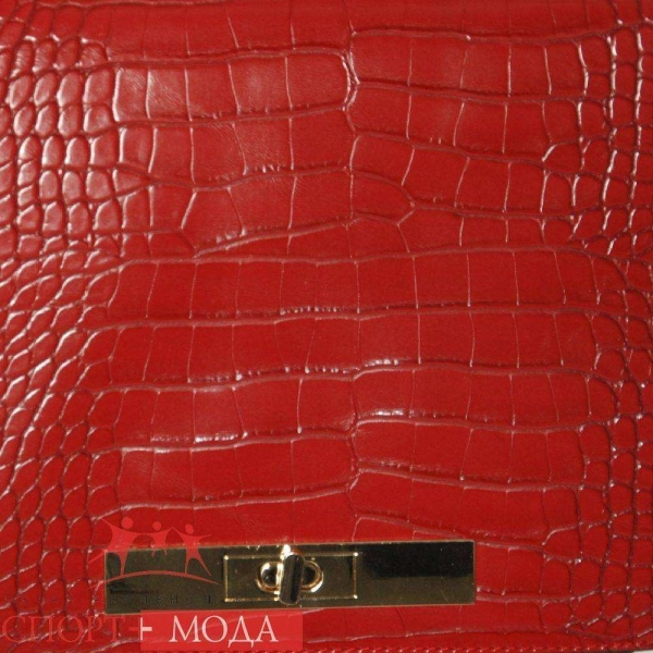 David Jones / Сумка CM3004