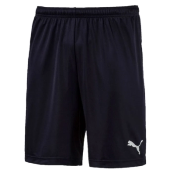Puma / Шорты спортивные ftblPLAY Shorts