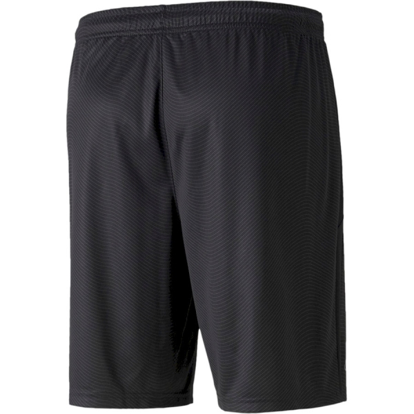 Puma / Шорты FUßBALL PARK Shorts 657585_05