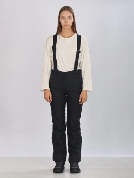 High Experience / Брюки горнолыжные  / сноубордические High Experience / Брюки горнолыжные  / сноубордические