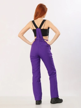 High Experience / Брюки горнолыжные  / сноубордические