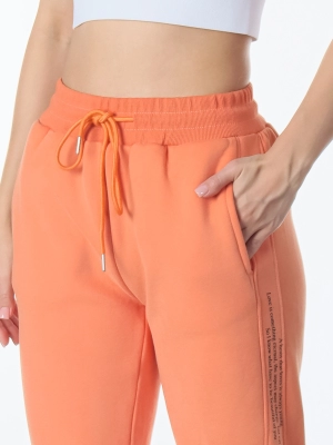 Брюки утепленные  / джоггеры (05egabiqel20250805-23.jpg)