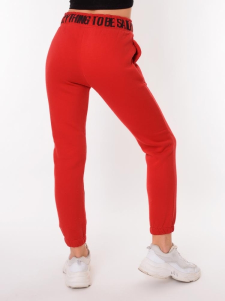 Chic and Charisma / Брюки спортивные 00468