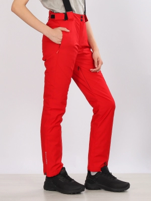 Брюки горнолыжные  / сноубордические (040054666663ehlnrcrb1723161600-2.jpg)