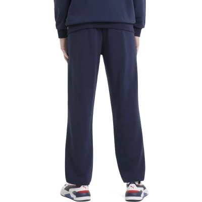 Брюки спортивные Essentials Logo Men's Sweatpants TR op