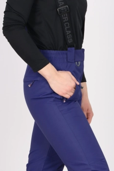 Master Class / Полукомбинезон / брюки утепленные Master Class / Полукомбинезон / брюки утепленные