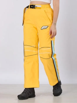 Free Cover / Брюки горнолыжные  / сноубордические