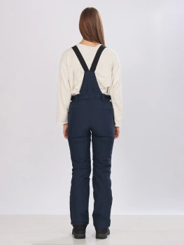 High Experience / Брюки горнолыжные  / сноубордические High Experience / Брюки горнолыжные  / сноубордические