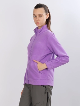 High Experience / Толстовка  / утепленная / на флисе