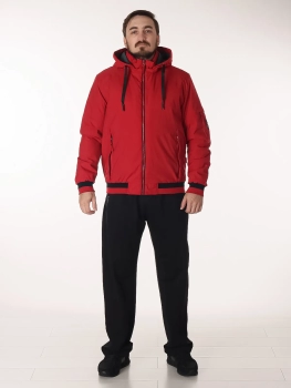 Куртка демисезонная (02ilqssdwu20250808-2.jpg)