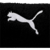 Puma / Повязка на голову TR ESS Core Headband 053866_01