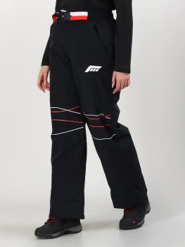 Free Cover / Брюки горнолыжные  / сноубордические