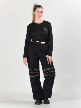 Free Cover / Брюки горнолыжные  / сноубордические