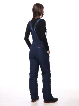Master Class / Полукомбинезон / брюки утепленные Master Class / Полукомбинезон / брюки утепленные