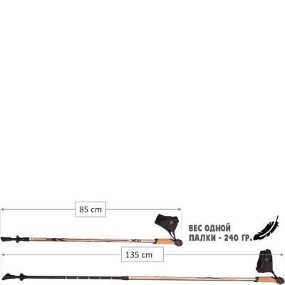 RGX / Палки для скандинавской ходьбы, двухсекционные.