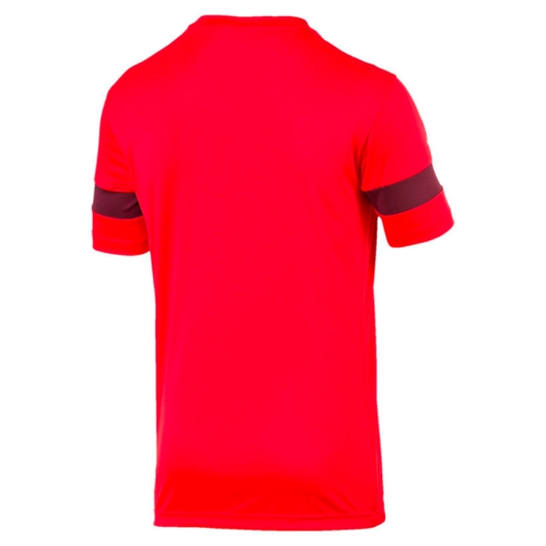 Футболка Puma ftblPLAY Logo Tee Puma