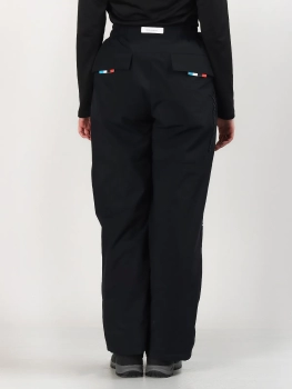 Free Cover / Брюки горнолыжные  / сноубордические