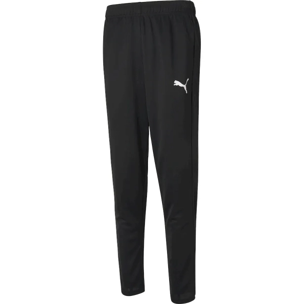 Брюки спортивные ACTIVE Tricot Pants cl
