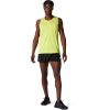 Asics / Шорты спортивные Core Split Short 2011C343-001