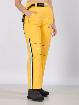 Free Cover / Брюки горнолыжные  / сноубордические