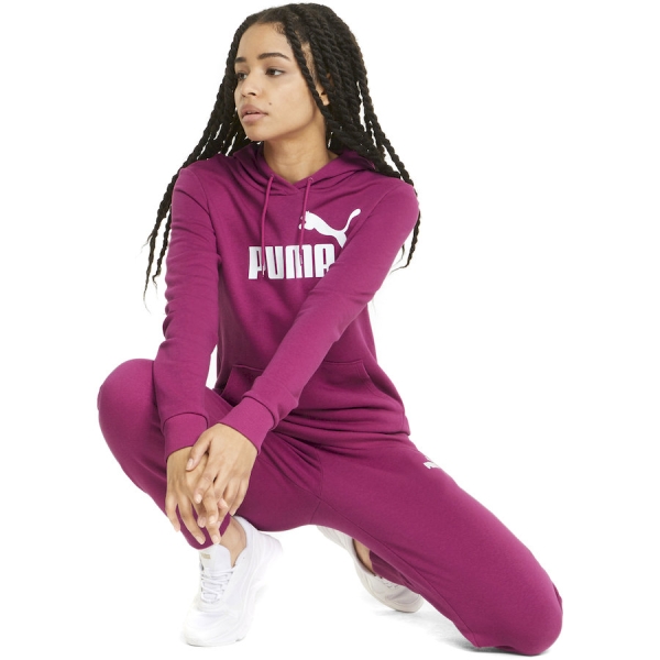 Puma / Брюки спортивные Essentials Sweatpants TR cl (s) 586843_86