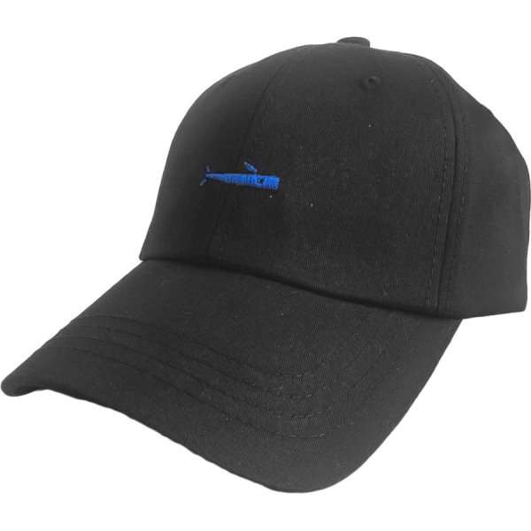 PAC HEAD / Бейсболка 0503-6