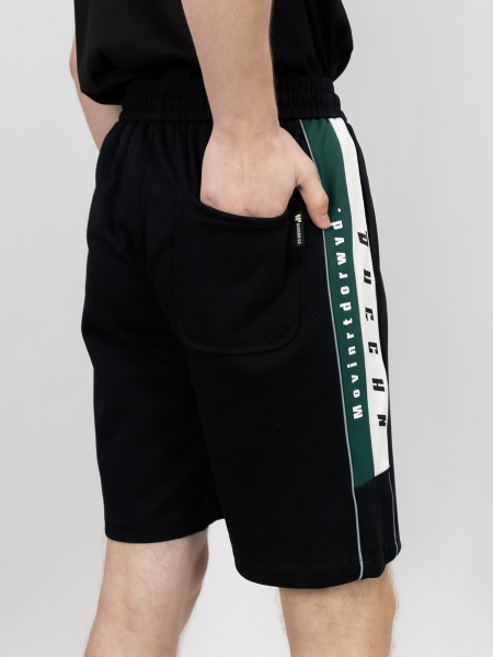 Sport & Moda / Шорты LKD_6960