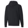 Puma / Толстовка Amplified FZ Hoodie FL 583523_01