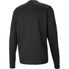 Puma / Лонсглив RUN FAVORITE LS TEE M 520210_01