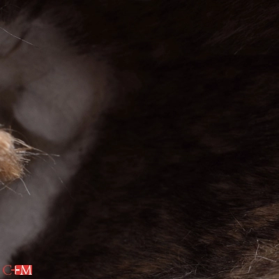 Keddo / Ботинки