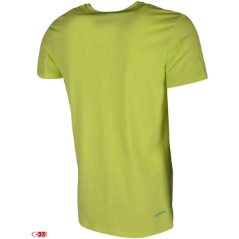 Icepeak / Футболка спортивная Silas