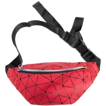 Sport & Moda / Сумка на пояс Sport & Moda / Сумка на пояс