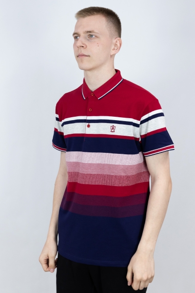 Sport & Moda / Футболка - поло MOS_5127T