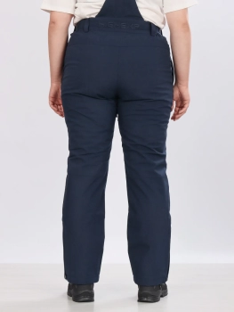 High Experience / Брюки горнолыжные  / сноубордические