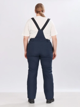 High Experience / Брюки горнолыжные  / сноубордические