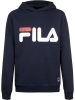 Fila / Худи 107377-Z3